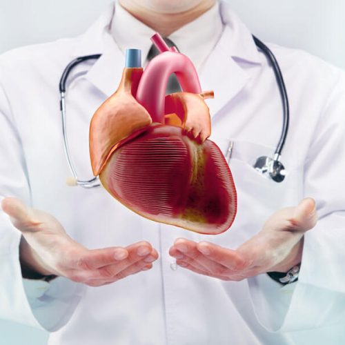 cardiology Aicinām kolektīvā KARDIOLOGU, EHOKARDIOGRĀFIJAS SPECIĀLISTU