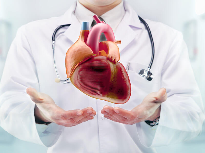 cardiology Aicinām kolektīvā KARDIOLOGU, EHOKARDIOGRĀFIJAS SPECIĀLISTU